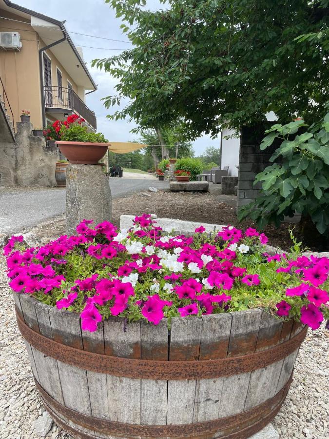 B&B Relais Aeclanum Mirabella Eclano Exteriör bild